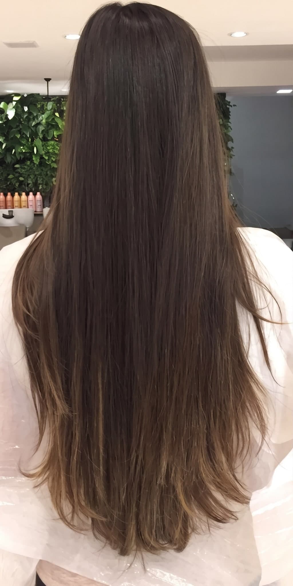 Cabelo longo e liso, visto de costas, em castanho escuro uniforme com leve clareado nas pontas.